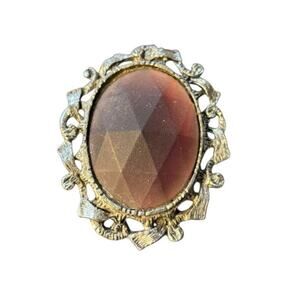 Vintage Brooch Pendant Brown Acrylic Faceted Cameo Style Ornate Pin Frame